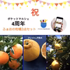 ポケマル４周年記念価格「ふぁおの柑橘3種セット」（12月発送）