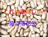 【茹で専用落花生】おおまさりネオ(9月上旬発送)