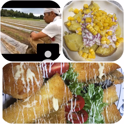 みんなの投稿の画像