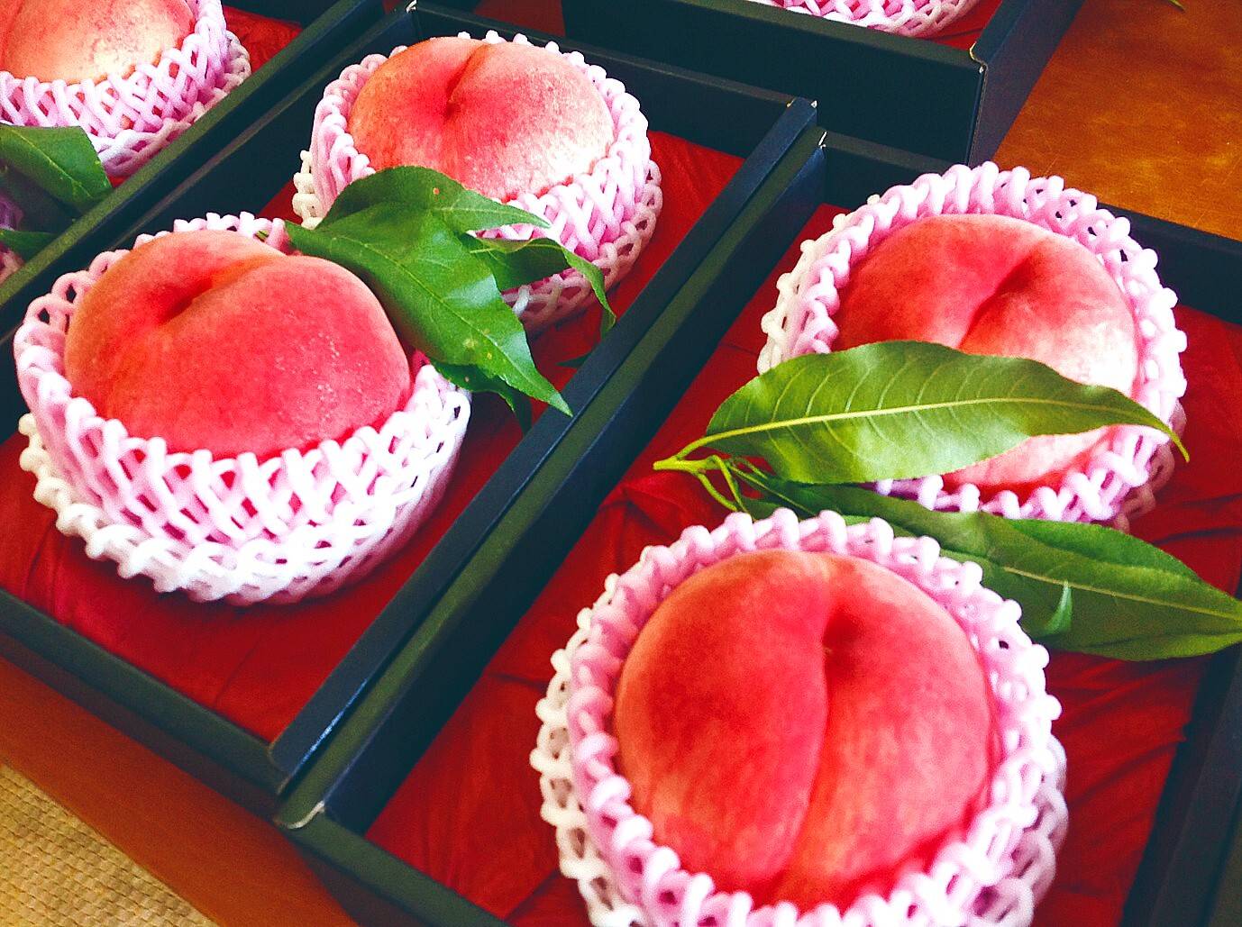 桃の概念をぶっ壊す 硬い桃ファンに贈る完熟おどろき2玉 化粧箱入り 福島の桃 農家漁師から産地直送の通販 ポケットマルシェ