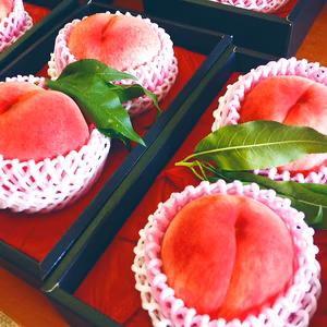 桃の概念をぶっ壊す！硬い桃ファンに贈る完熟おどろき2玉　化粧箱入り　福島の桃