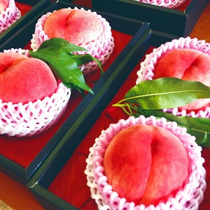 桃の概念をぶっ壊す！硬い桃ファンに贈る完熟おどろき2玉　化粧箱入り　福島の桃
