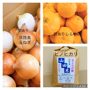 訳ありしらぬい訳あり淡路島玉ねぎ淡路島産精米ヒノヒカリ