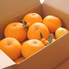 【春の福袋】特別栽培・低農薬「甘夏みかん」5kg