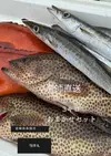 朝どれ！！　漁師直送おまかせセット3キロ