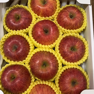 蜜入りチェック済‼️特秀減農薬栽培樹上完熟蜜入サンふじ3キロ10-12