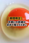 ■■【平飼い・チョイちびたまご】■■酵母の平飼いたまご（元気たまご）