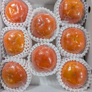 国城観光農園の富有柿（３Ｌサイズ8個入り）