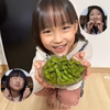 8/1～5頃発送【神の枝豆】　生だだちゃ豆１㎏