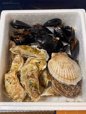 みんなの投稿の画像