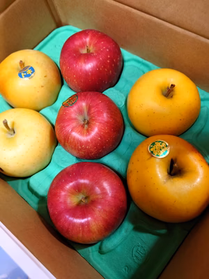 みんなの投稿の画像