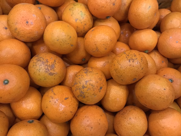 なちょす様専用ページ！