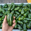青森県八戸豊崎産　特別栽培ピーマン　通常サイズ