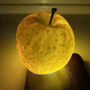 こうとく約1.2kg【家庭用】