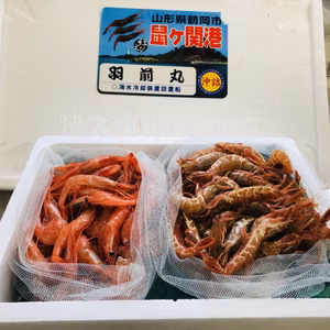 海楽琉様専用ページ