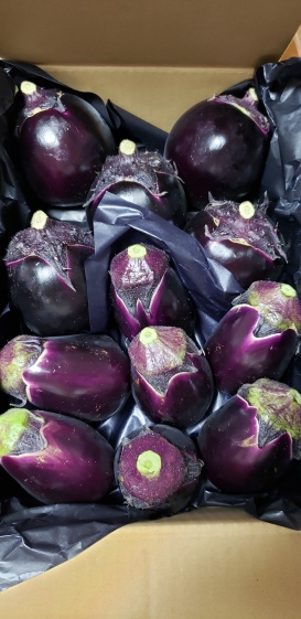 丸なす 水ナス 詰め合わせ 約2 5 農家漁師から産地直送の通販 ポケットマルシェ