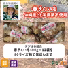 【送料無料】春キクイモ｜沖縄県名護市（無農薬・無化学肥料）