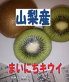 ❤送料一律❤毎日食べてお得なSSサイズ　キウイフルーツを産地直売