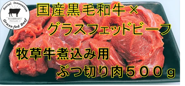 【さかうえの牧草牛】ぶつ切り肉（煮込み用） 国産黒毛和牛×グラスフェッドビーフ