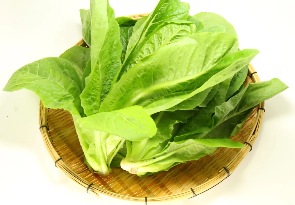ベジシャブ野菜鍋用セット