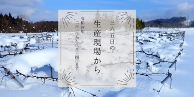 2月1日〜14日の生産現場から、雨水の31投稿！