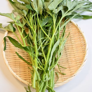 和らぎ農法　空芯菜（1袋）