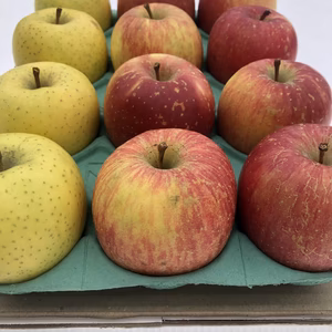 食べきりサイズ　葉とらずサンふじ、他おまかせ1種詰合せ　家庭用　