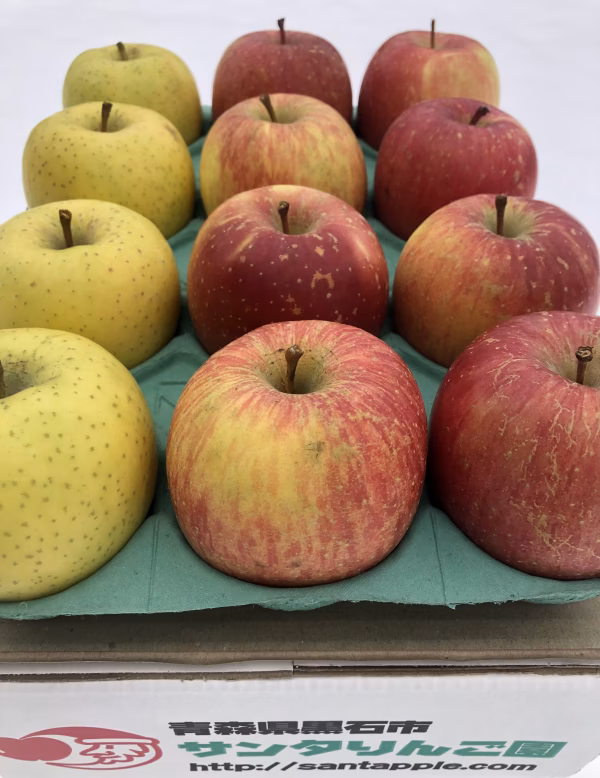 食べきりサイズ　葉とらずサンふじ、他おまかせ1種詰合せ　家庭用　