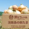 【ちょっぴり訳あり⭕】淡路島 春の新たまねぎ⭕子どもがパクパク食べちゃう♪