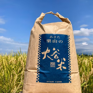 【新米】精米 9kg 秋田県産あきたこまち 大谷米 令和６年度産