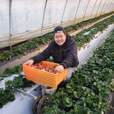 小野口哲朗 | 小野口いちご園