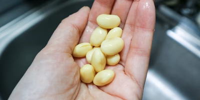 節分は豆まきよりも「豆しぼり」！自宅でできる豆乳とおからの作り方