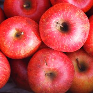 【訳あり】甘〜い！サンふじ！お得用✨毎日のりんごにどうぞ！