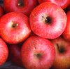 【訳あり】甘〜い！サンふじ！お得用✨毎日のりんごにどうぞ！