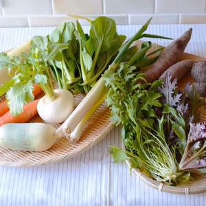 【健託農場】吉備高原の旬野菜セット(Mサイズ) 無農薬、無化学肥料