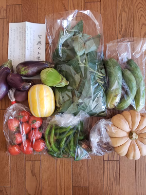 みんなの投稿の画像