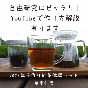 【夏休み体験】和紅茶手作りキット【見本の紅茶３０ｇ付き】
