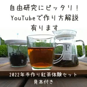 【夏休み体験】和紅茶手作りキット【見本の紅茶３０ｇ付き】