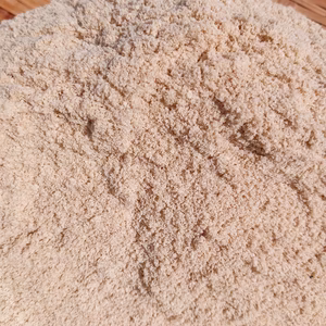 米ぬかつき子供に食べさせたい野菜✨【若人セット❗❗】ばぁばのモノスゴイ野菜