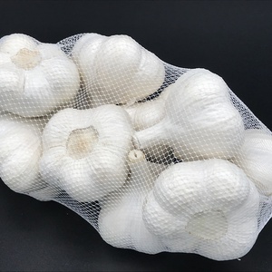 青森県産ホワイト六片種にんにく (1kg) 大玉A2L品