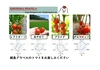 【訳あり数量限定】ヨーロッパ・日本の中玉トマト2種★約1.4kgバラ詰