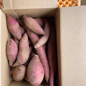 さっち様専用 紅あずま 5kg S/SSサイズ】