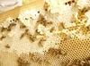 【岩手県産】すずめ蜂の蜂蜜漬け