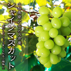 【予約販売】平均糖度18度以上！山梨県産！シャインマスカット(種無し)