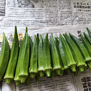 旬の野菜セット８０サイズ