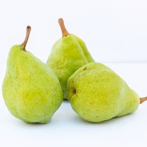 信州産　ル・レクチェ　ルレクチェ　約5kg（10～20玉）　洋ナシ　西洋なし