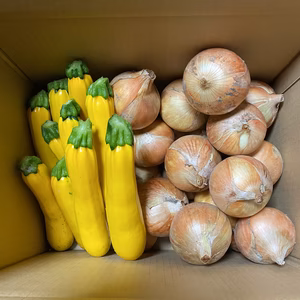 【山田太郎様専用】黄ズッキーニ&新玉ねぎ