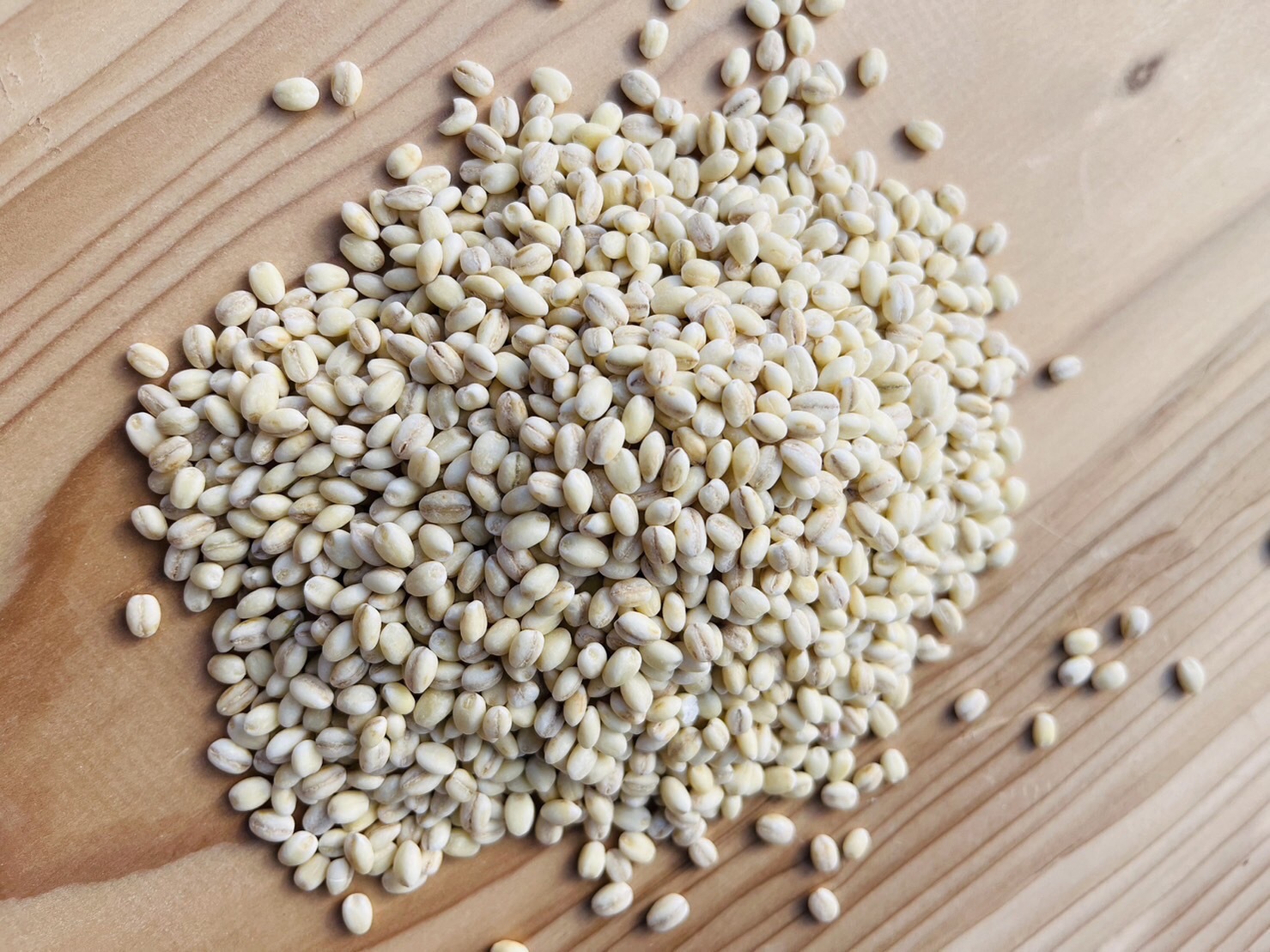 お得!!まとめ買い】無農薬 もち麦(キラリモチ)【8kg/10kg】｜雑穀