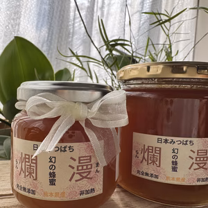 【2025年新年特価】　無添加　非加熱　日本蜜蜂の生蜂蜜（爛漫）らんまん