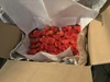特別栽培イチゴ 1.1kg （紅ほっぺ・プレミアムパック)